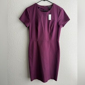 Banana Republic Plum Dress- Size 6